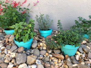 final results of wasted space for a herb garden