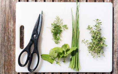 Using Wasted Space for a Herb Garden